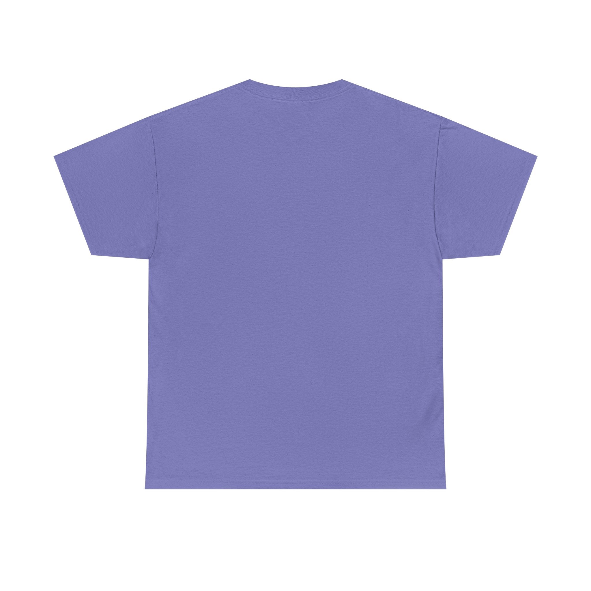 Alcorn State Lady Bear Edition- HBCU Tee Shirt